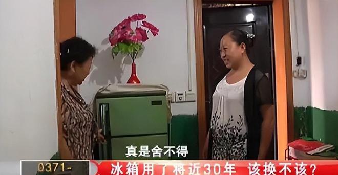 今三家易主只剩下一家成为一线品牌j9平台中国冰箱界的四朵金花如(图8)