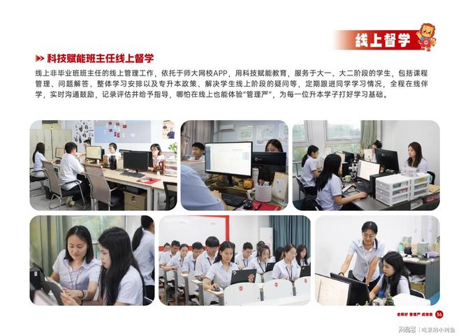 升本丨山东专升本培训行业标杆九游会网址是多少师大教育专(图16)