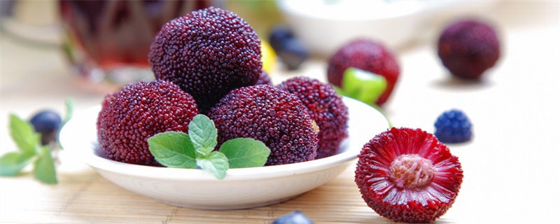 梅怎么清洗 杨梅的清洗方法j9九游真人游戏第一平台杨